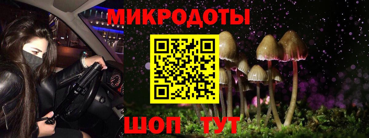 Псилоцибиновые грибы Magic Shrooms Энгельс