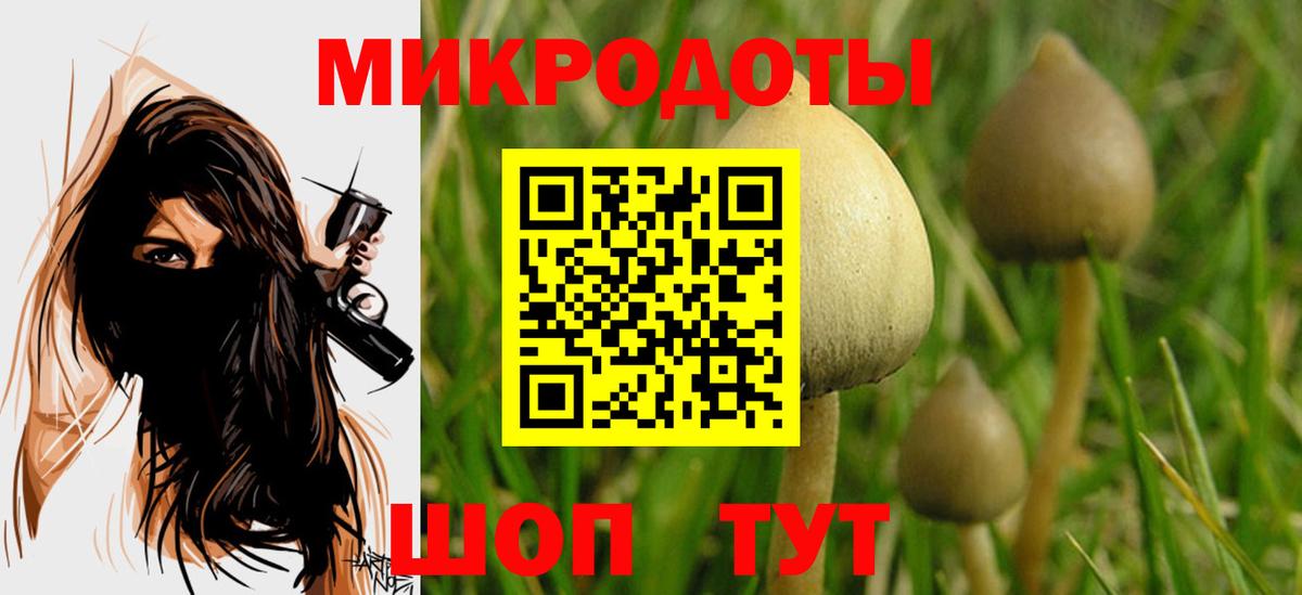 Энгельс  Галлюциногенные грибы Psilocybe  Вход с VPN 